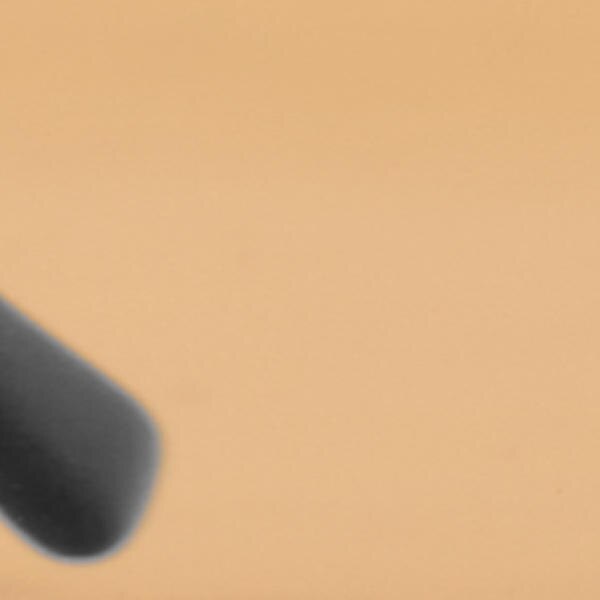 COS オーバルフレームサングラス