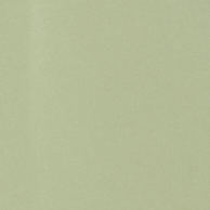 FLUID PLEATED BLOUSESAGE GREEN