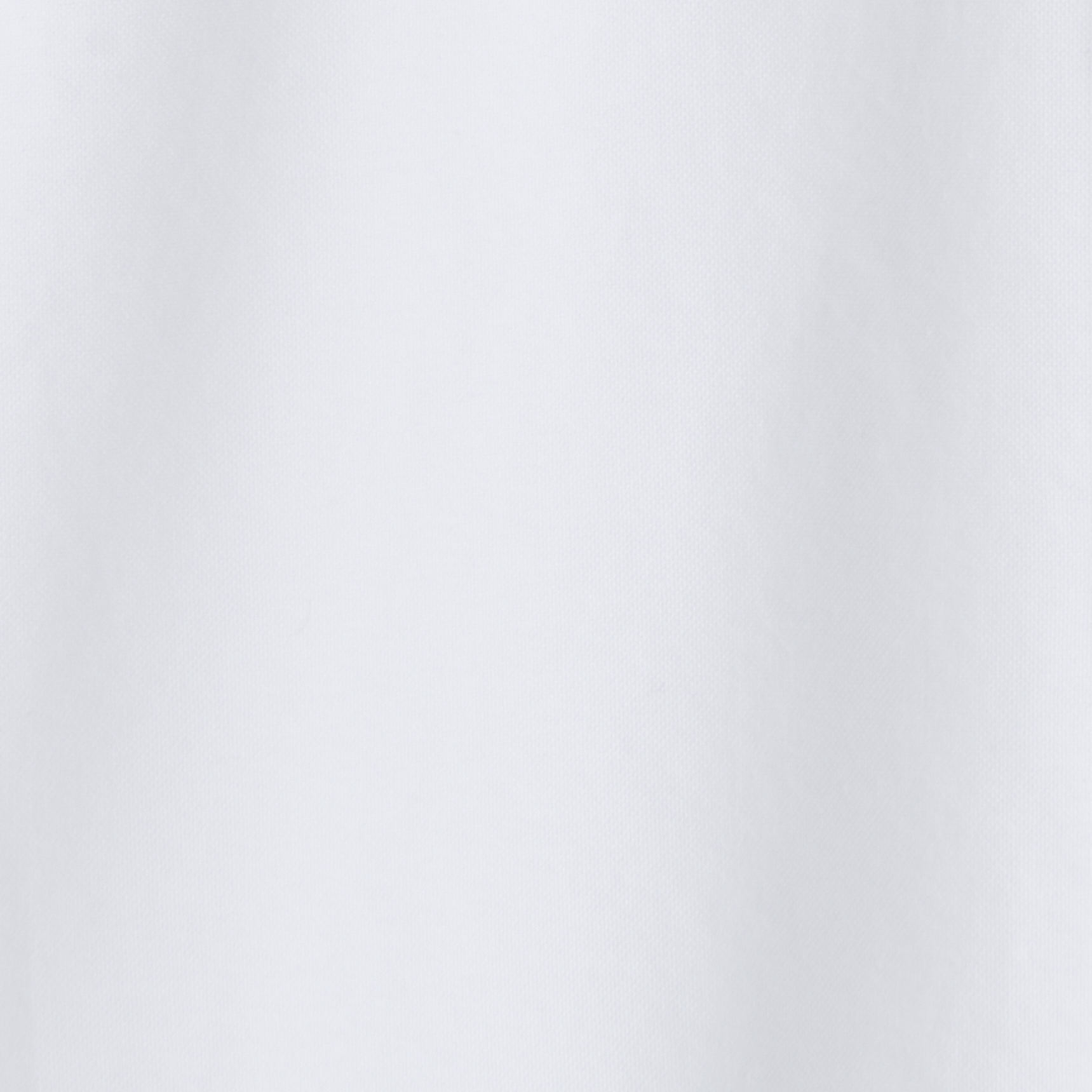 COTTON OXFORD SHIRTBLUE / WHITE / STRIPED
