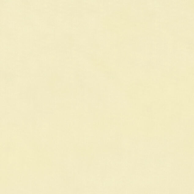 SILK-ORGANZA SCARFBUTTER / BROWN