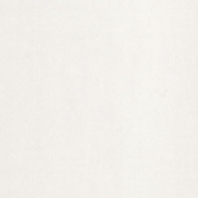 KNITTED-COLLAR MODAL POLO SHIRTIVORY