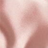 SATIN-SUEDE BALLET TRAINERSPOWDER PINK