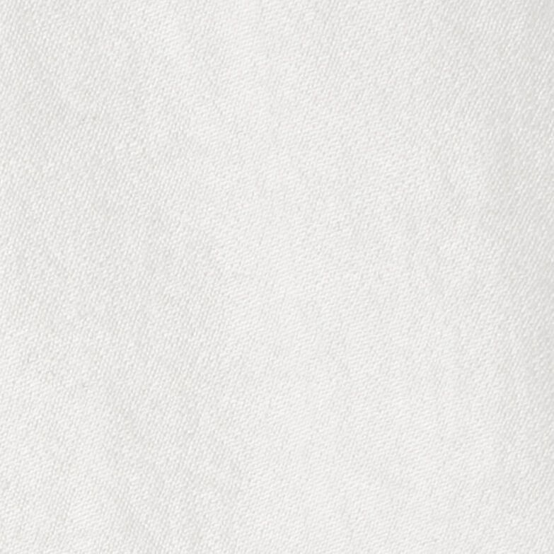 FRILL-COLLAR BIBWHITE