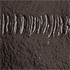 EEL-EFFECT LEATHER CARDHOLDERESPRESSO